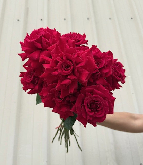 Valentines Collection