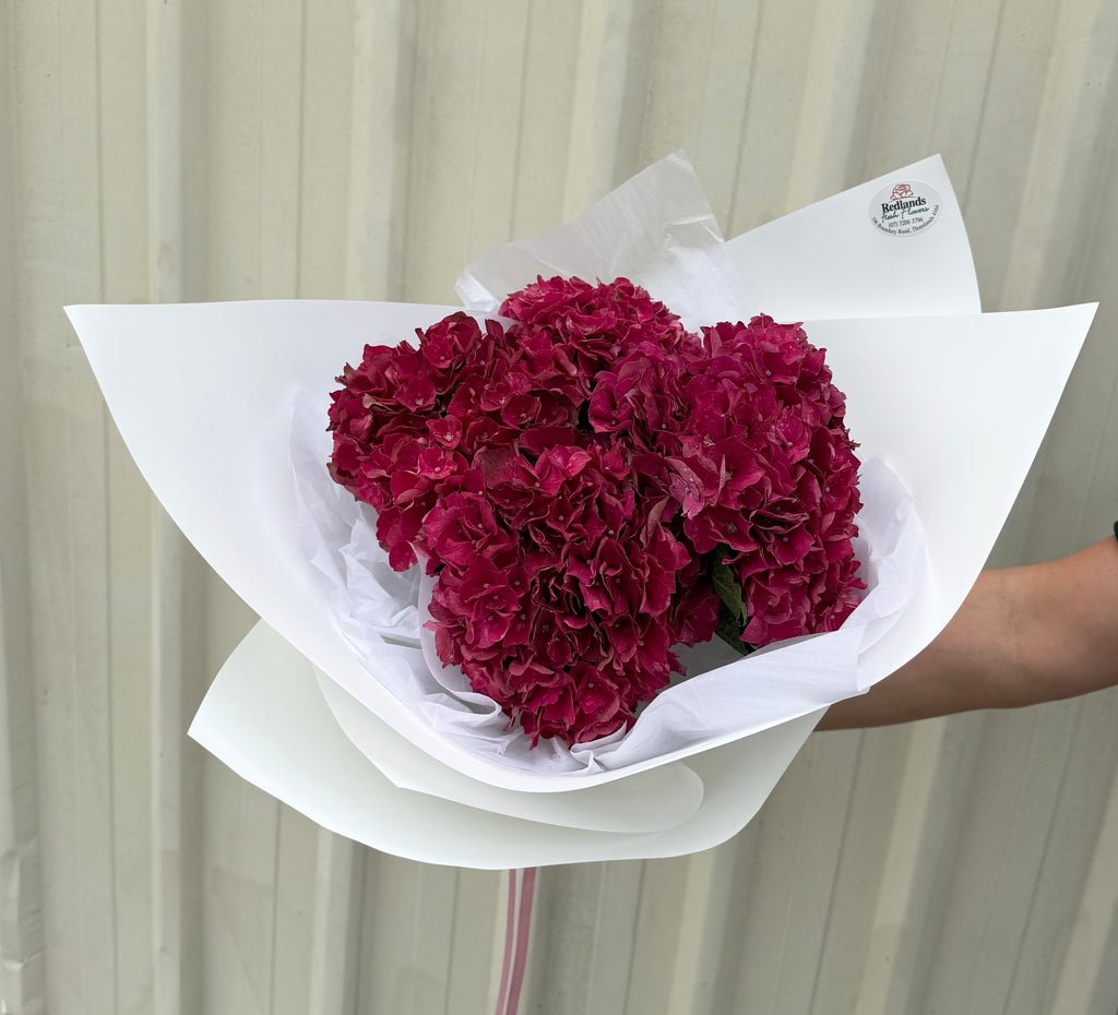 Plum & Pink Hydrangea