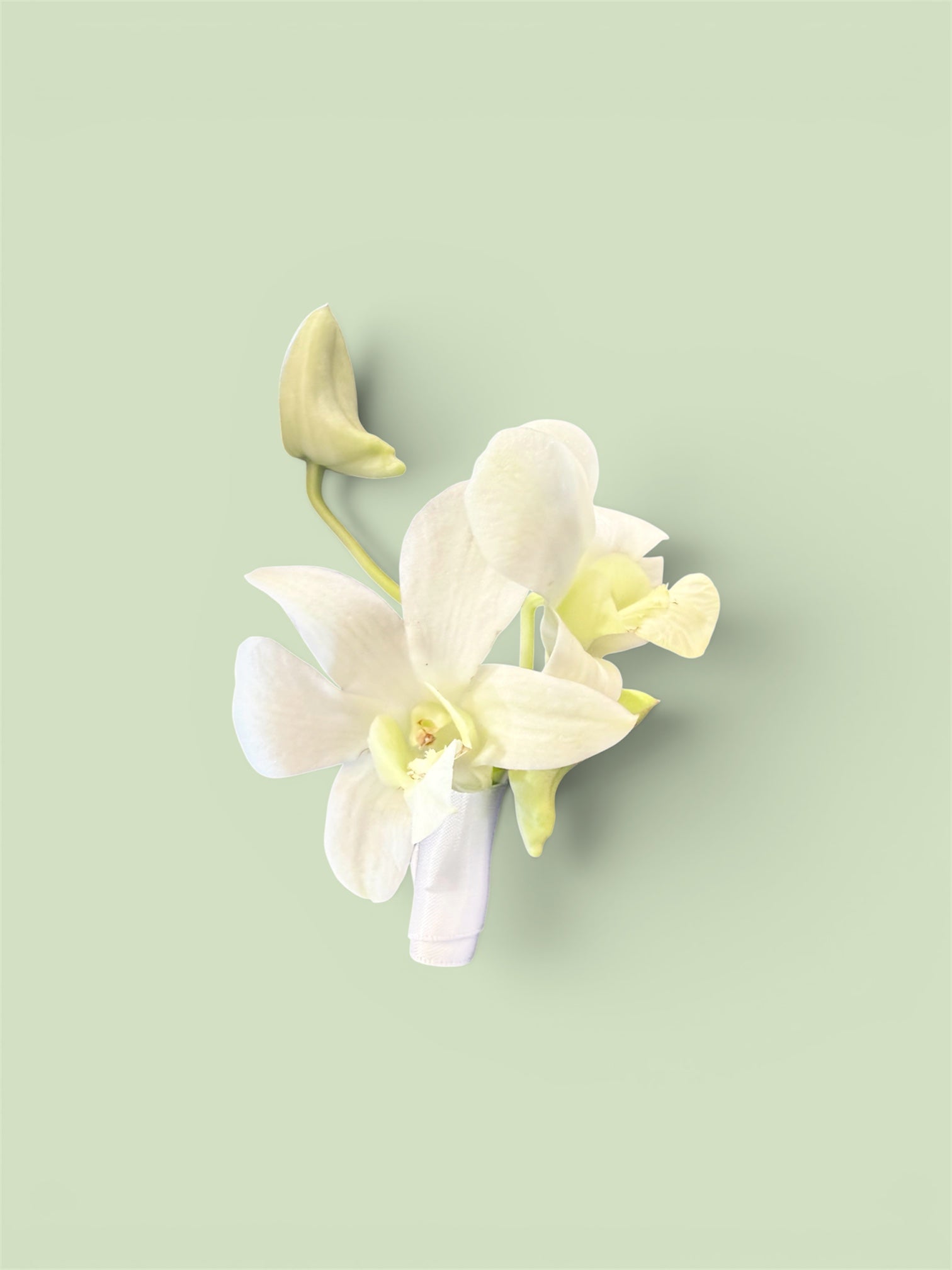 White Orchid Buttonhole
