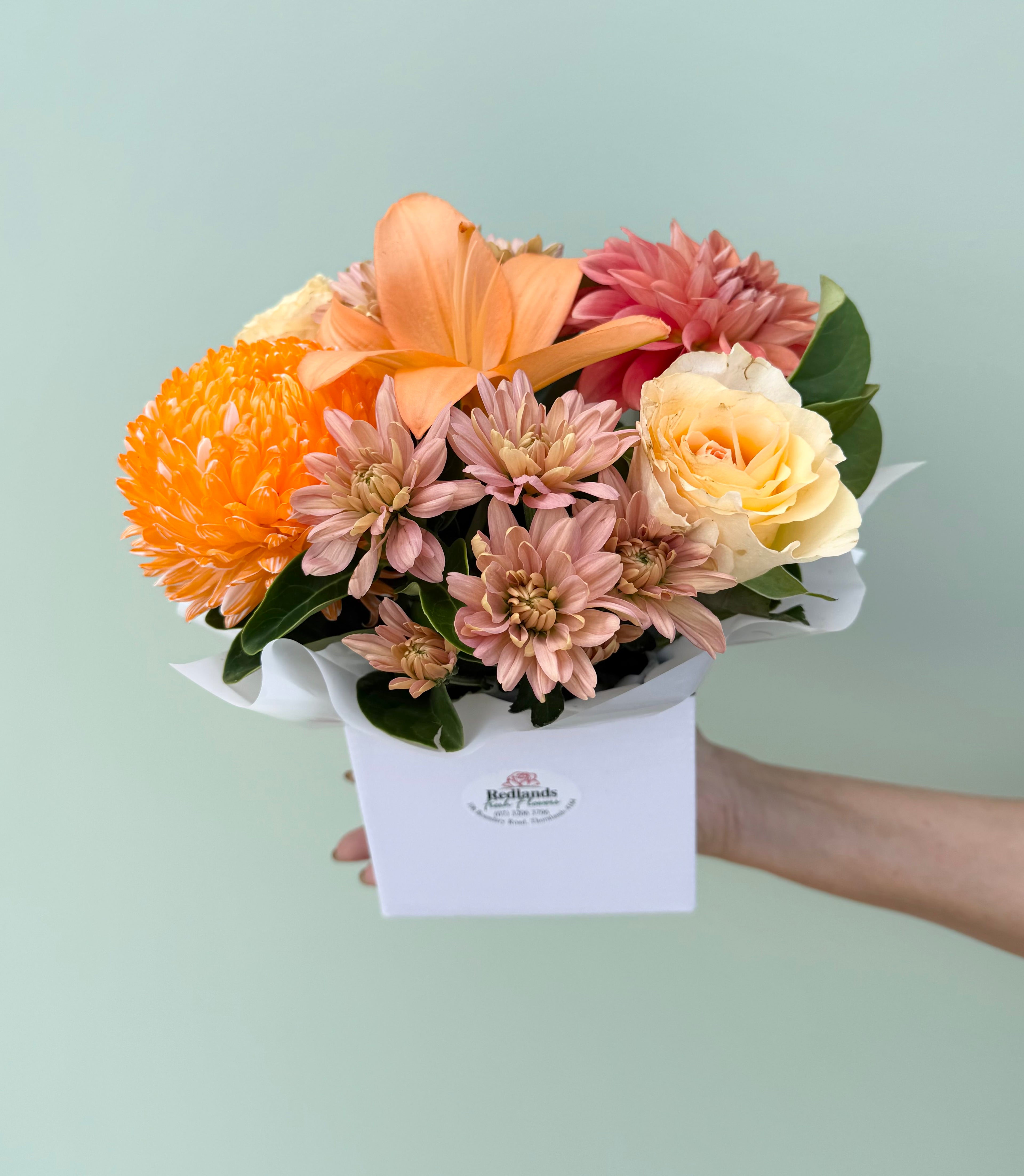 The Signature Season Box