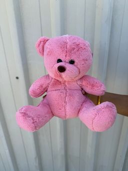 Teddy Bear Pink