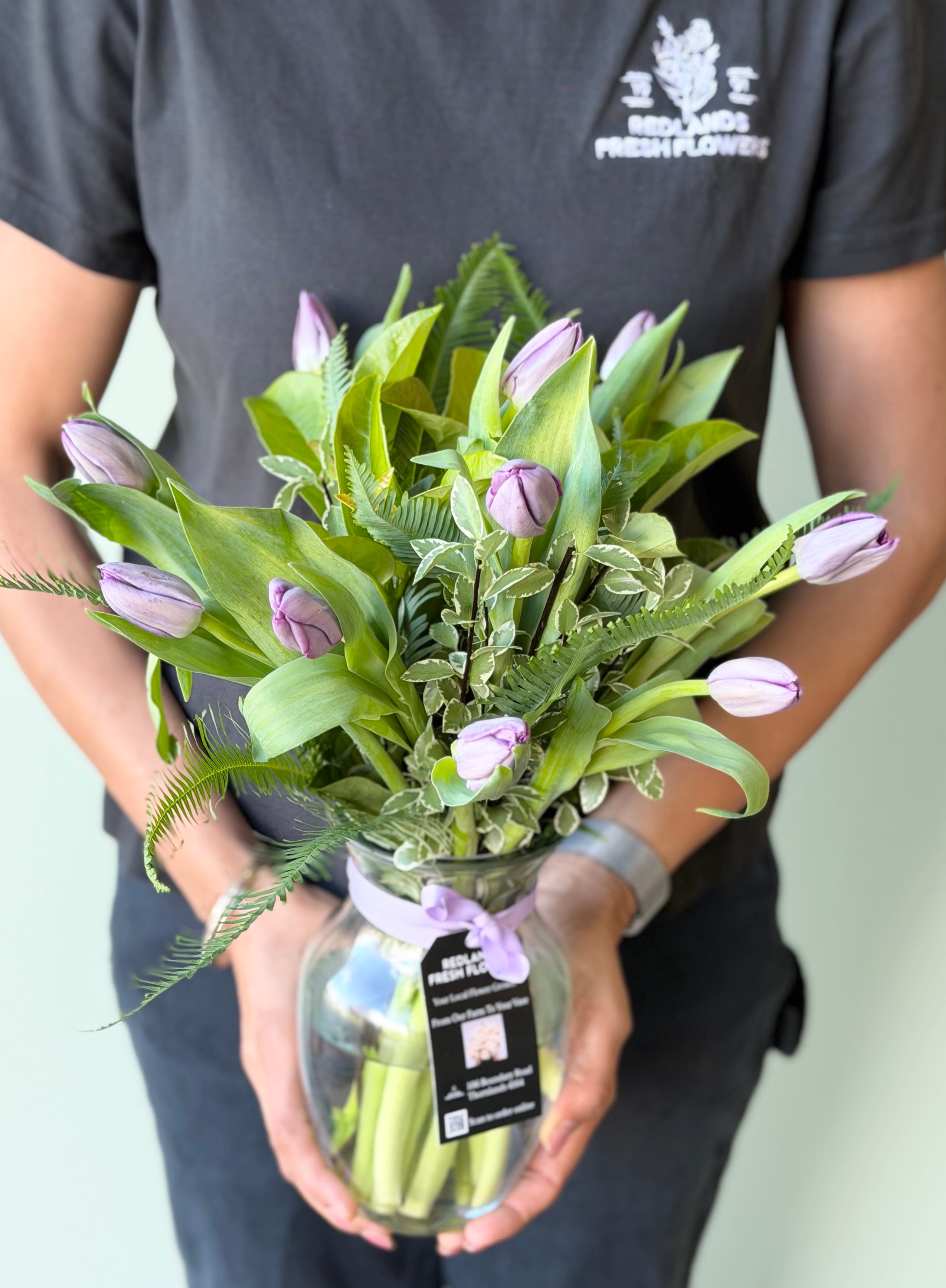 Sweet Lilac Tulip