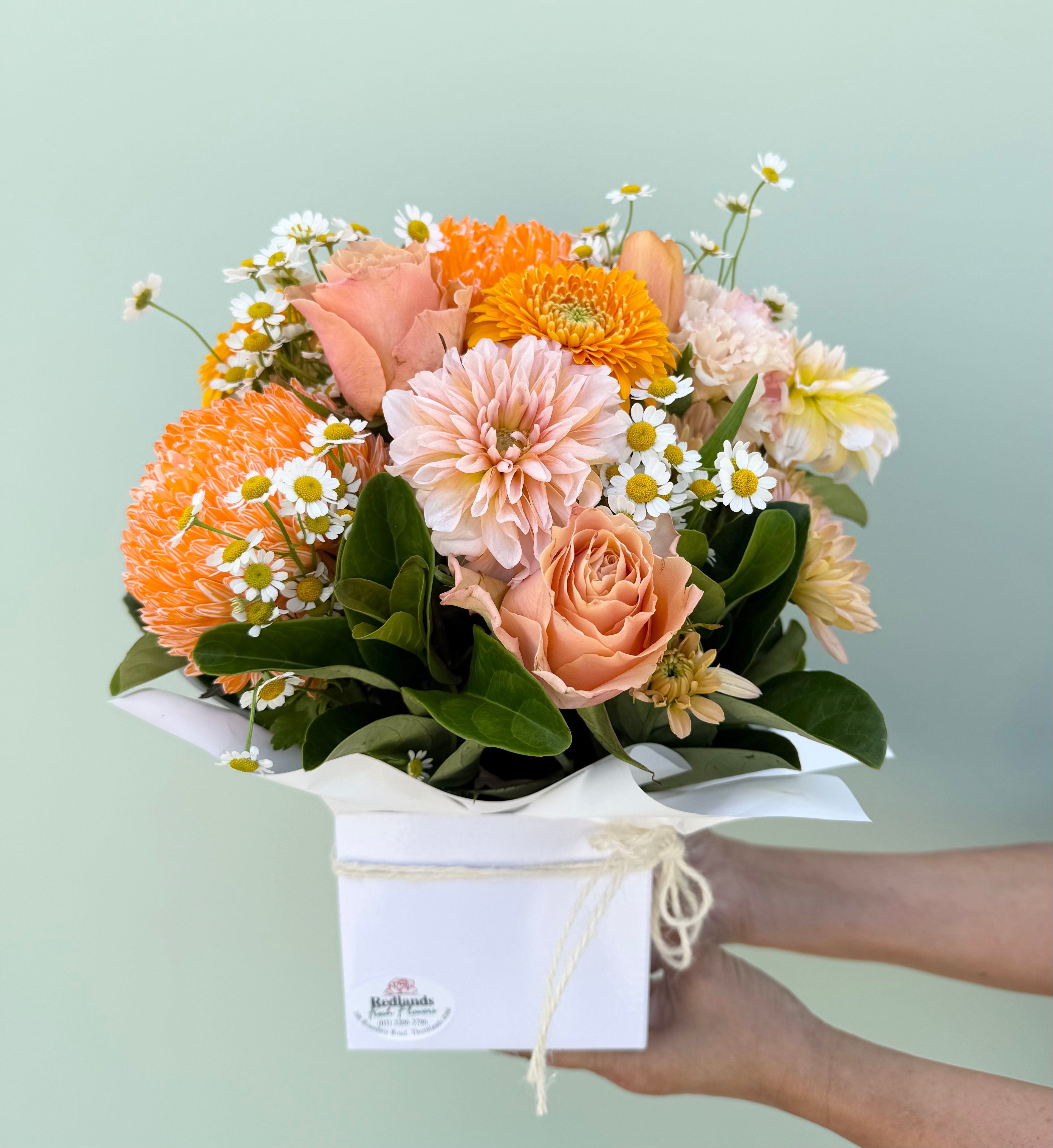 The Signature Season Box