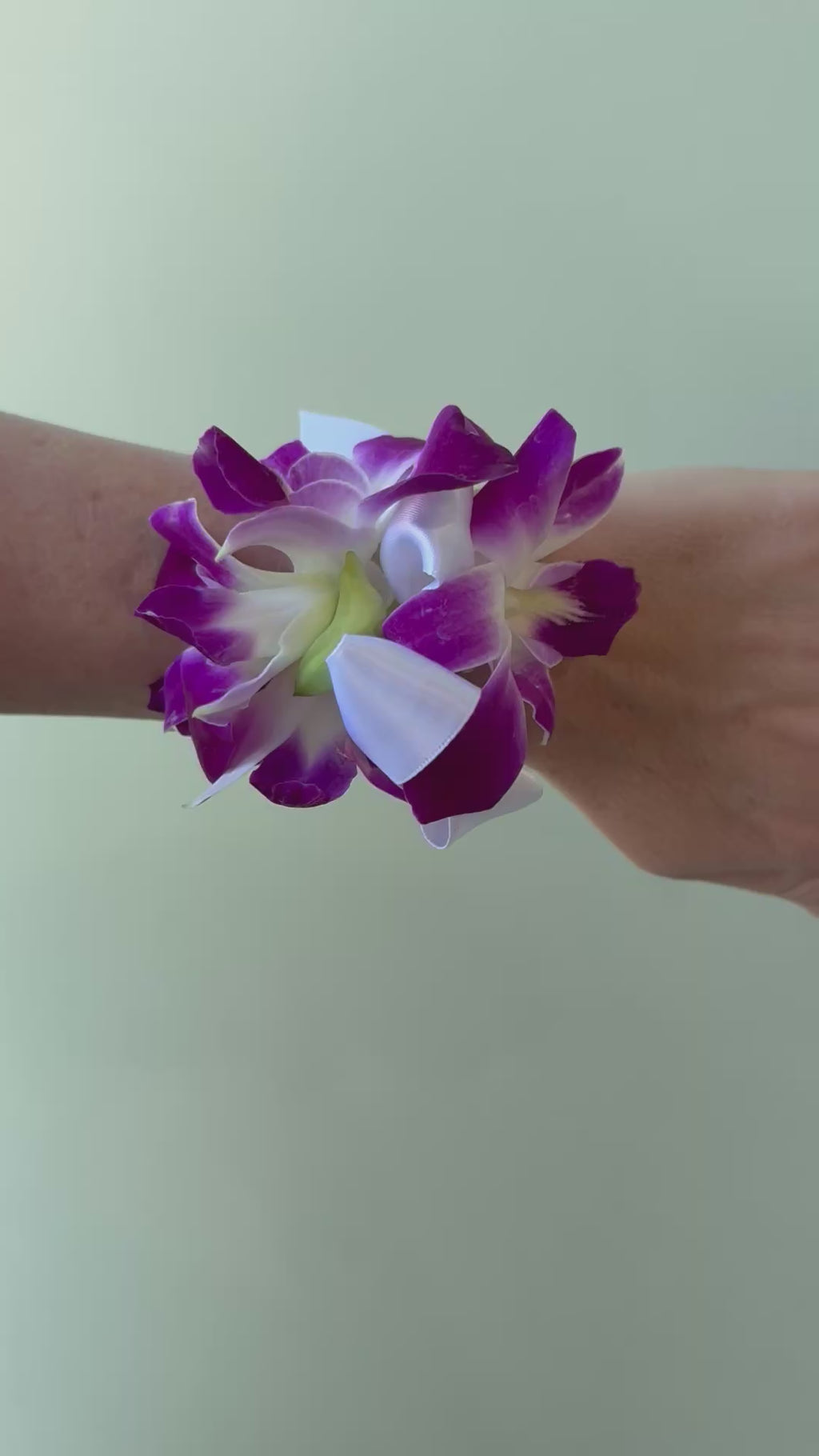 Galaxy Orchid Corsage